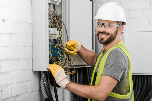 Best Electric Panel Repair  in Columbus, NM