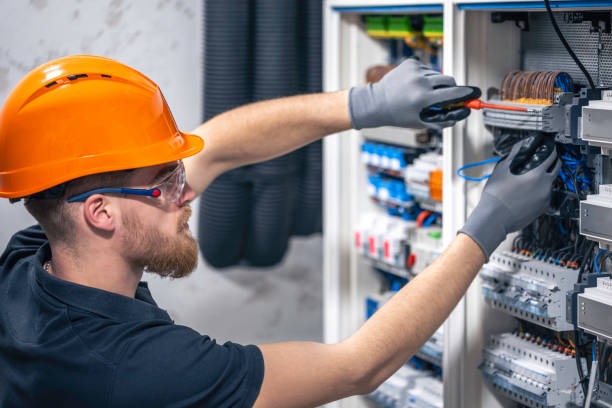 Best Electric Panel Repair  in Columbus, NM